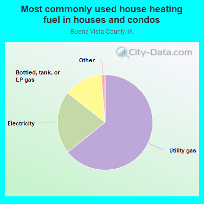 Most commonly used house heating fuel in houses and condos