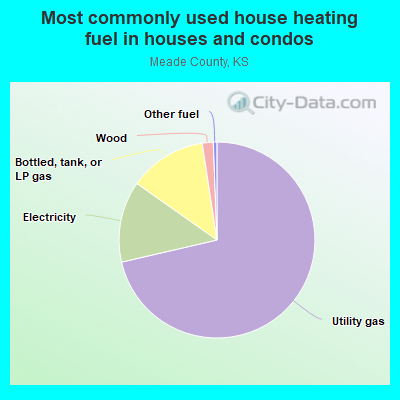 Most commonly used house heating fuel in houses and condos