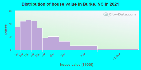 Distribution of house value in Burke, NC in 2021