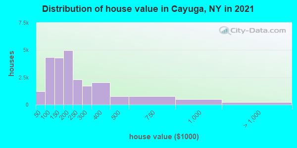 Distribution of house value in Cayuga, NY in 2022