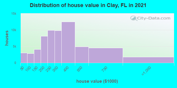 Distribution of house value in Clay, FL in 2022