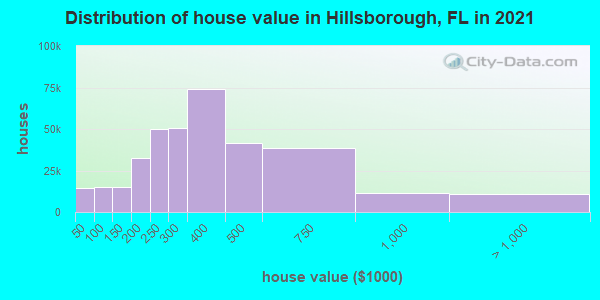 Distribution of house value in Hillsborough, FL in 2022