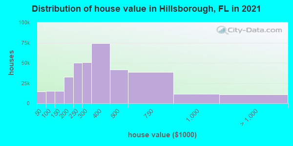 Hillsborough County, Florida detailed profile - houses, real estate, cost  of living, wages, work, agriculture, ancestries, and more