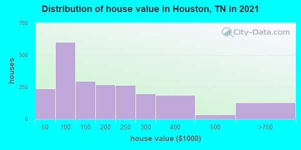 Distribution of house value in Houston, TN in 2022