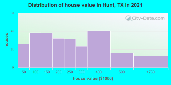 Distribution of house value in Hunt, TX in 2021