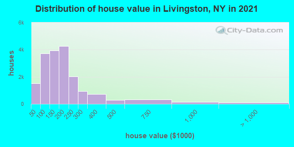 Distribution of house value in Livingston, NY in 2022