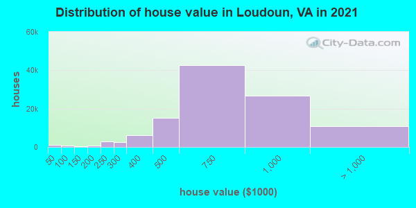Distribution of house value in Loudoun, VA in 2022