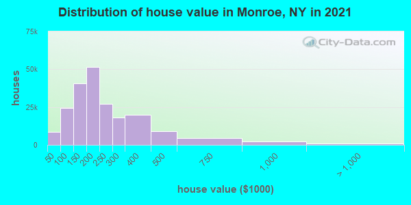 Distribution of house value in Monroe, NY in 2022
