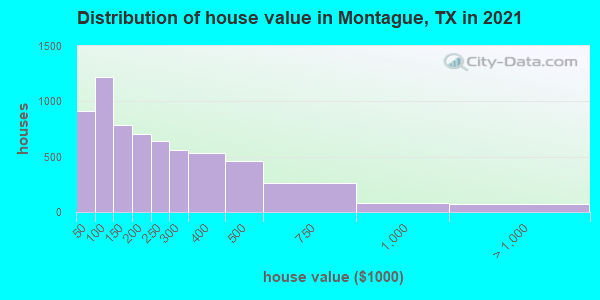 Distribution of house value in Montague, TX in 2022