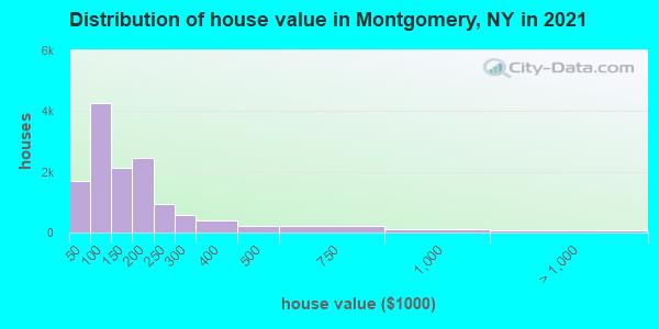 Distribution of house value in Montgomery, NY in 2022