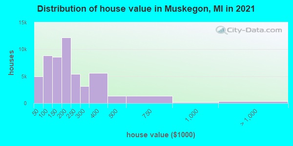 Distribution of house value in Muskegon, MI in 2022