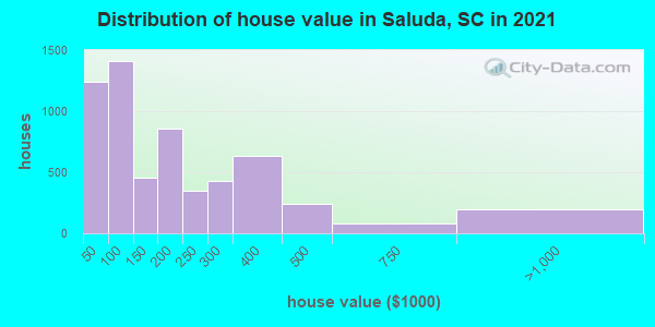 Distribution of house value in Saluda, SC in 2021