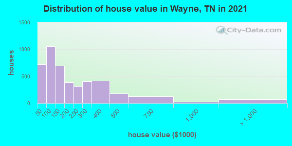Distribution of house value in Wayne, TN in 2022