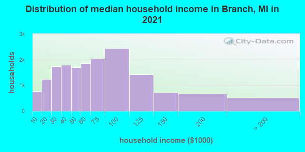 Distribution of median household income in Branch, MI in 2022