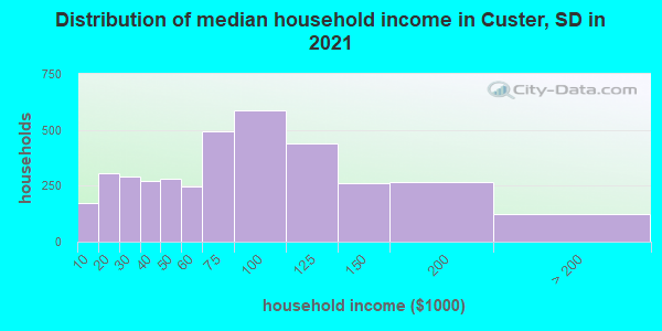 Distribution of median household income in Custer, SD in 2019