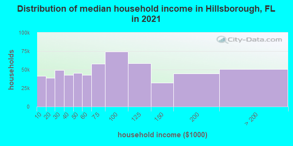 Distribution of median household income in Hillsborough, FL in 2019