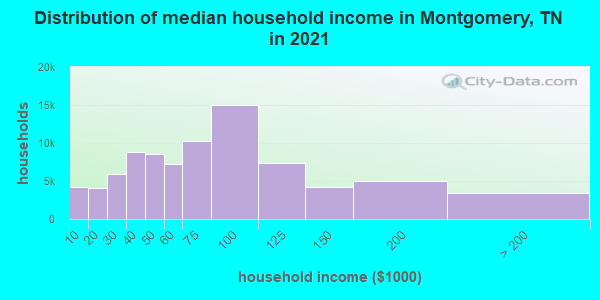 Distribution of median household income in Montgomery, TN in 2022