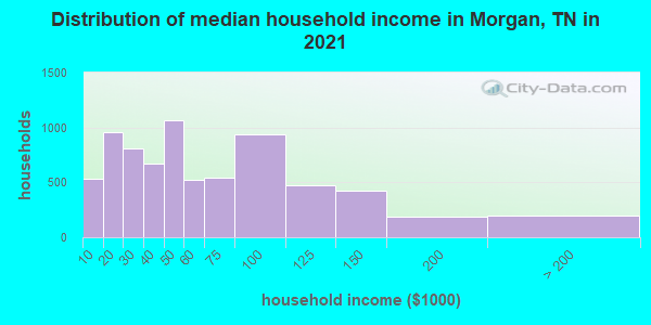 Distribution of median household income in Morgan, TN in 2022