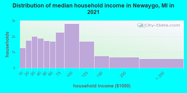 Distribution of median household income in Newaygo, MI in 2021