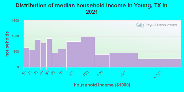 Distribution of median household income in Young, TX in 2022