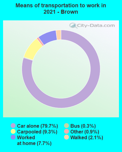 Means of transportation to work in 2022 - Brown