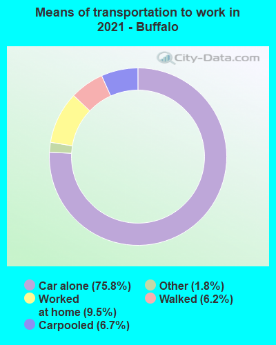 Means of transportation to work in 2022 - Buffalo