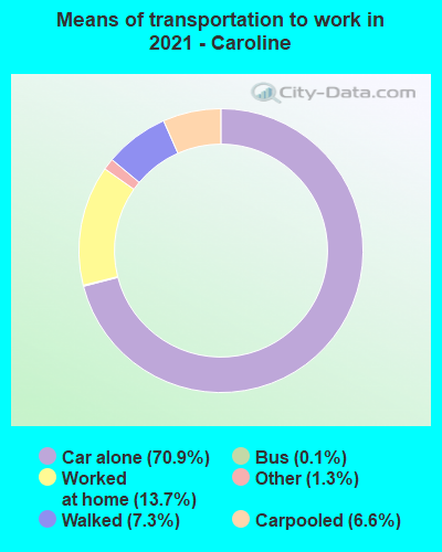 Means of transportation to work in 2022 - Caroline