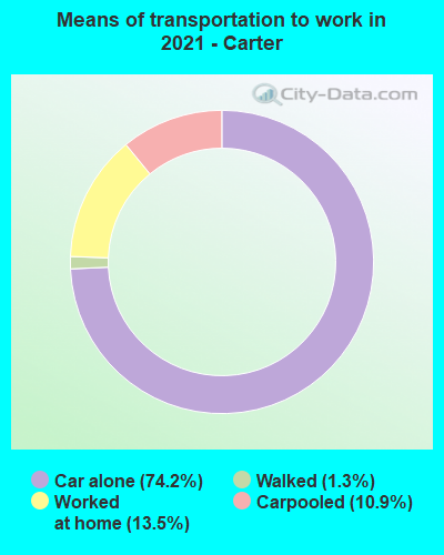 Means of transportation to work in 2022 - Carter