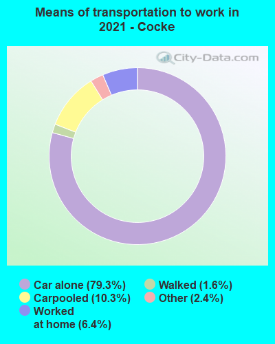 Means of transportation to work in 2022 - Cocke