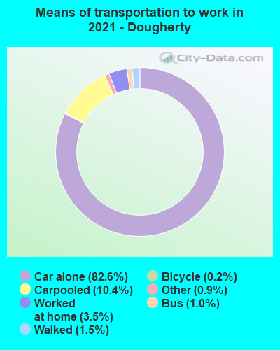 Means of transportation to work in 2022 - Dougherty