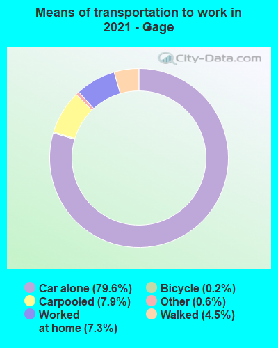 Means of transportation to work in 2022 - Gage