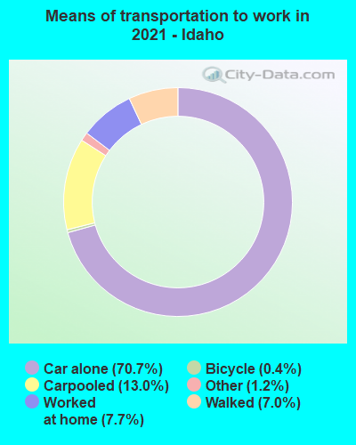 Means of transportation to work in 2022 - Idaho