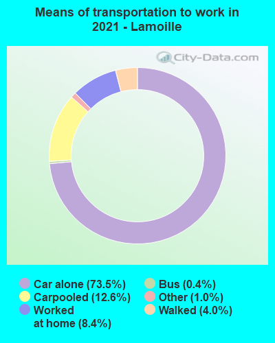 Means of transportation to work in 2022 - Lamoille