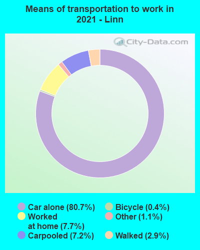 Means of transportation to work in 2022 - Linn