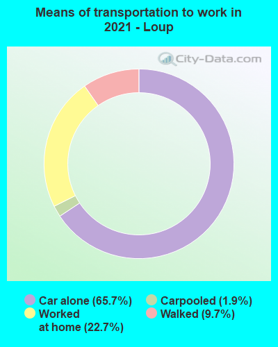 Means of transportation to work in 2022 - Loup