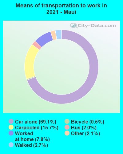 Means of transportation to work in 2022 - Maui