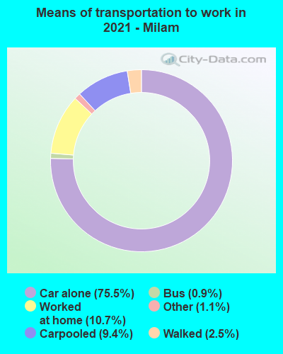 Means of transportation to work in 2022 - Milam