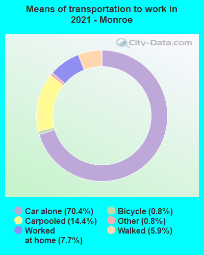 Means of transportation to work in 2022 - Monroe