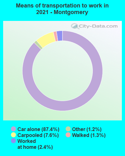 Means of transportation to work in 2022 - Montgomery