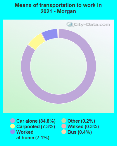 Means of transportation to work in 2022 - Morgan