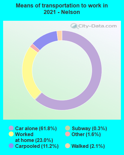 Means of transportation to work in 2022 - Nelson