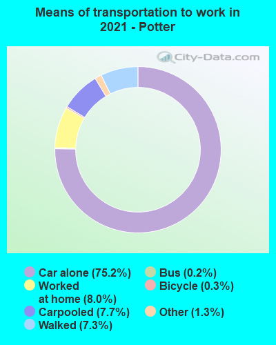 Means of transportation to work in 2022 - Potter