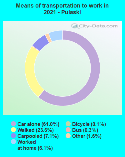 Means of transportation to work in 2022 - Pulaski