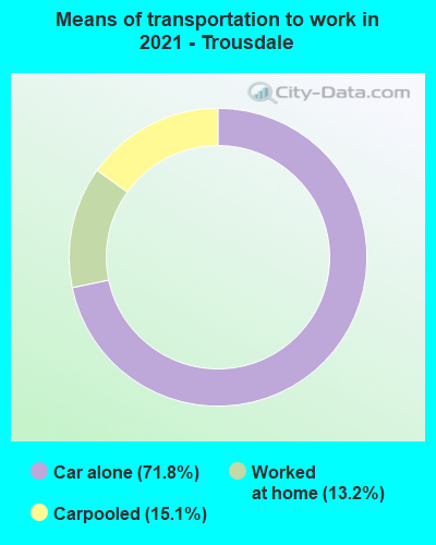 Means of transportation to work in 2022 - Trousdale