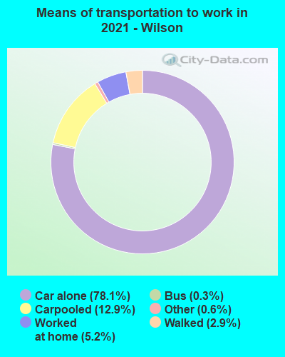 Means of transportation to work in 2022 - Wilson