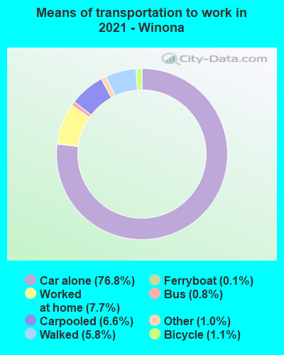 Means of transportation to work in 2022 - Winona