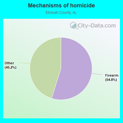 Mechanisms of homicide