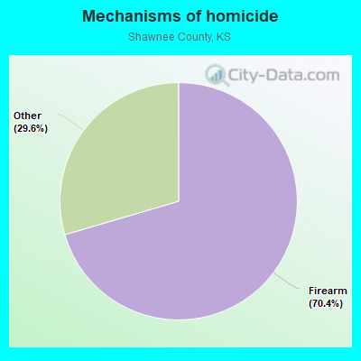 Mechanisms of homicide