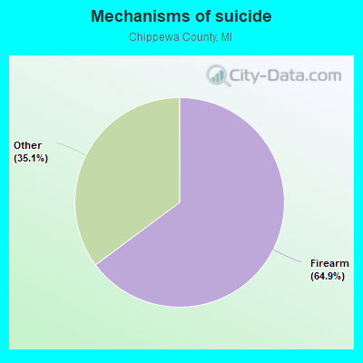 Mechanisms of suicide