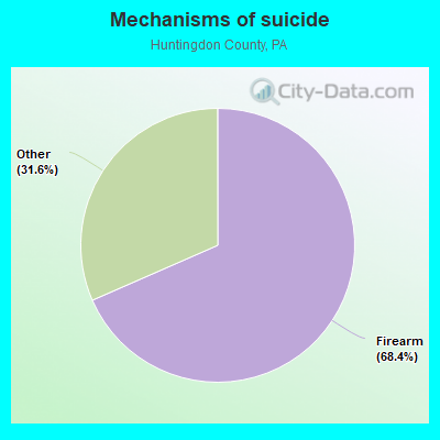 Mechanisms of suicide